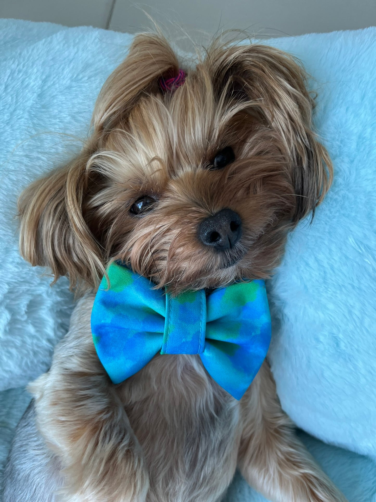 Blue Tie Dye Bowtie